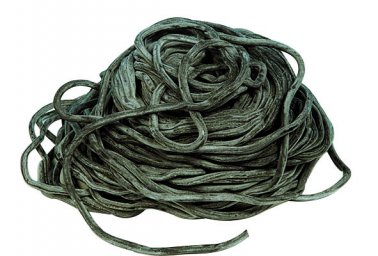 Cordon Ø8 Pour Extrudeuse 6 Kg