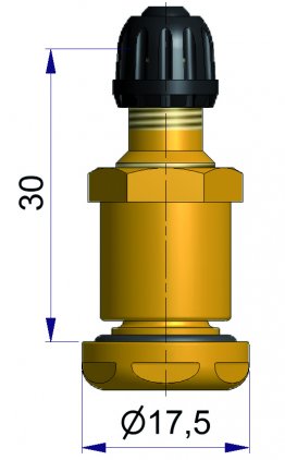 Valve Laiton Pour Utilitaires 10Pcs