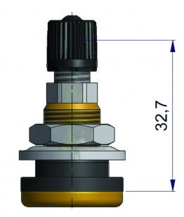 Valve Courte TR618A 100Pcs